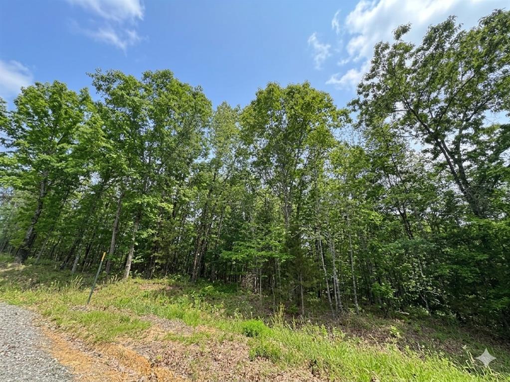 6 Vista Ridge Trail
