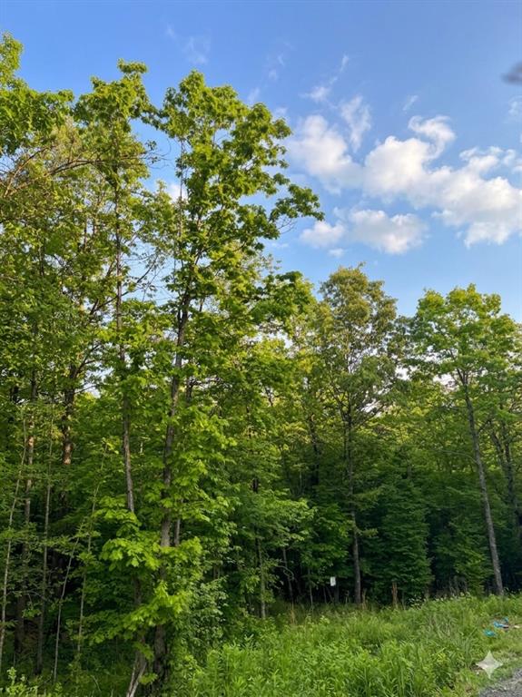 7 Vista Ridge Trail
