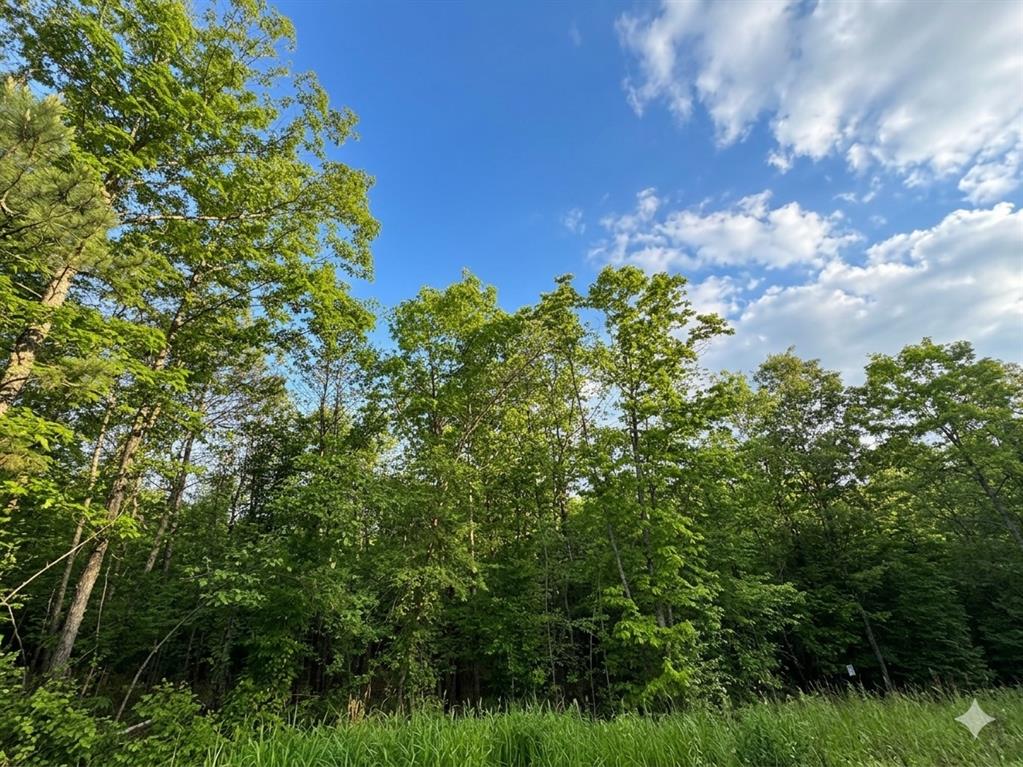 7 Vista Ridge Trail