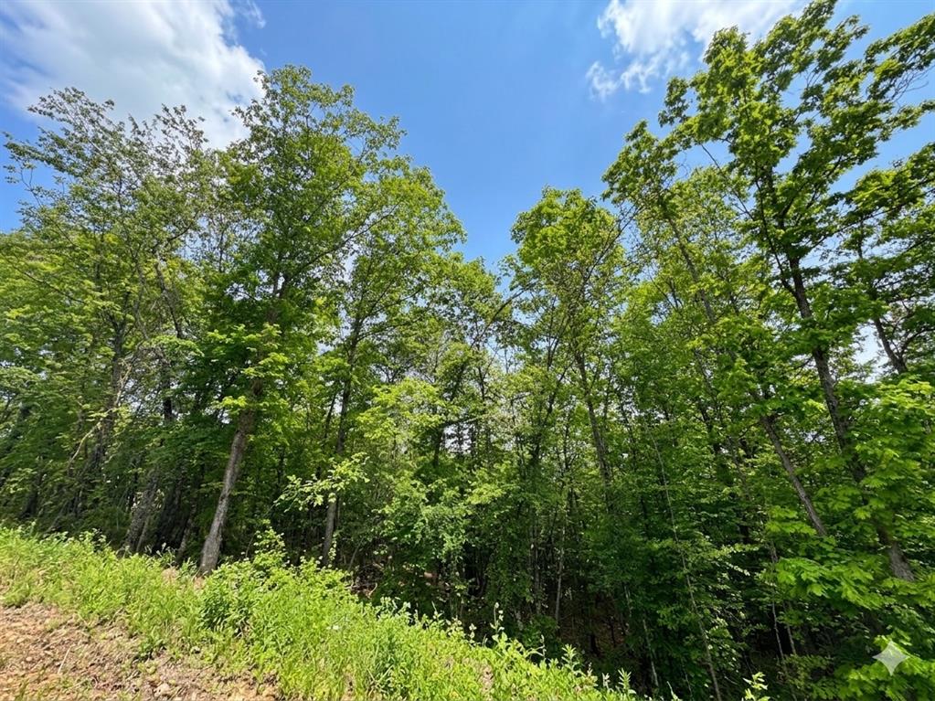 7 Vista Ridge Trail