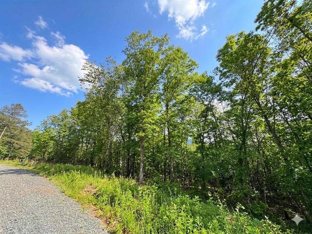 7 Vista Ridge Trail