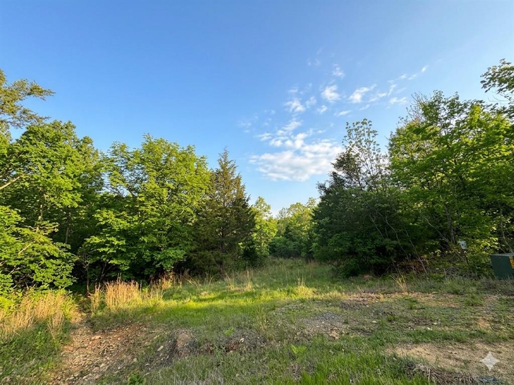 8 Vista Ridge Trail