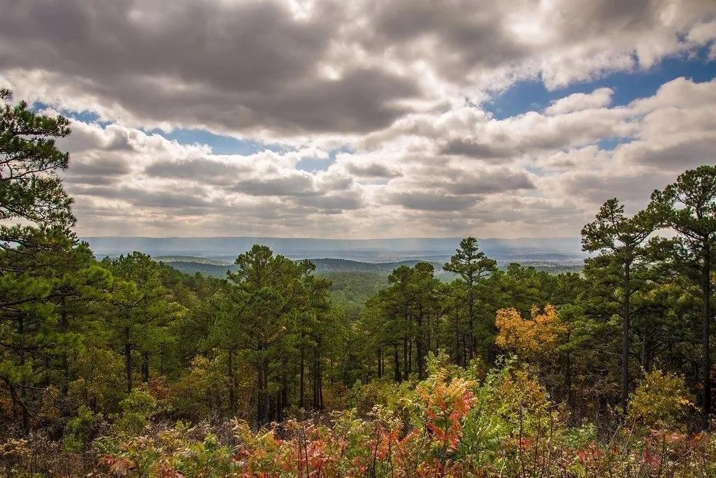 8 Vista Ridge Trail