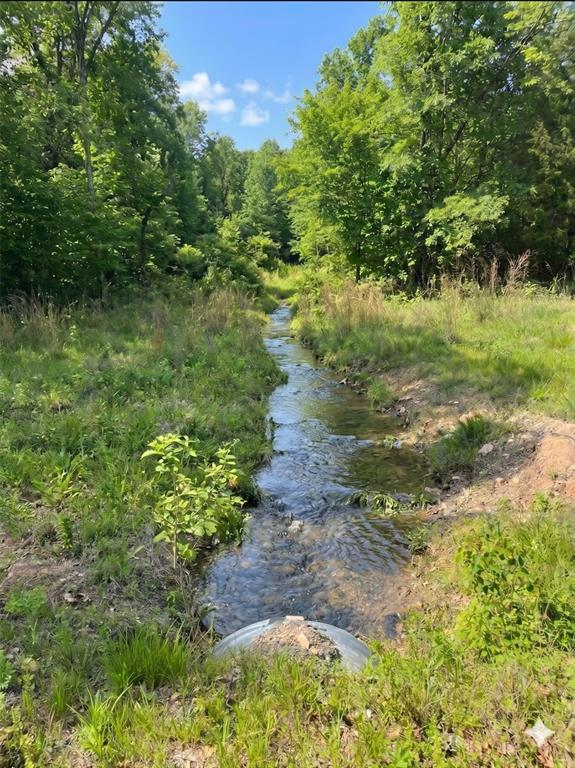 8 Vista Ridge Trail