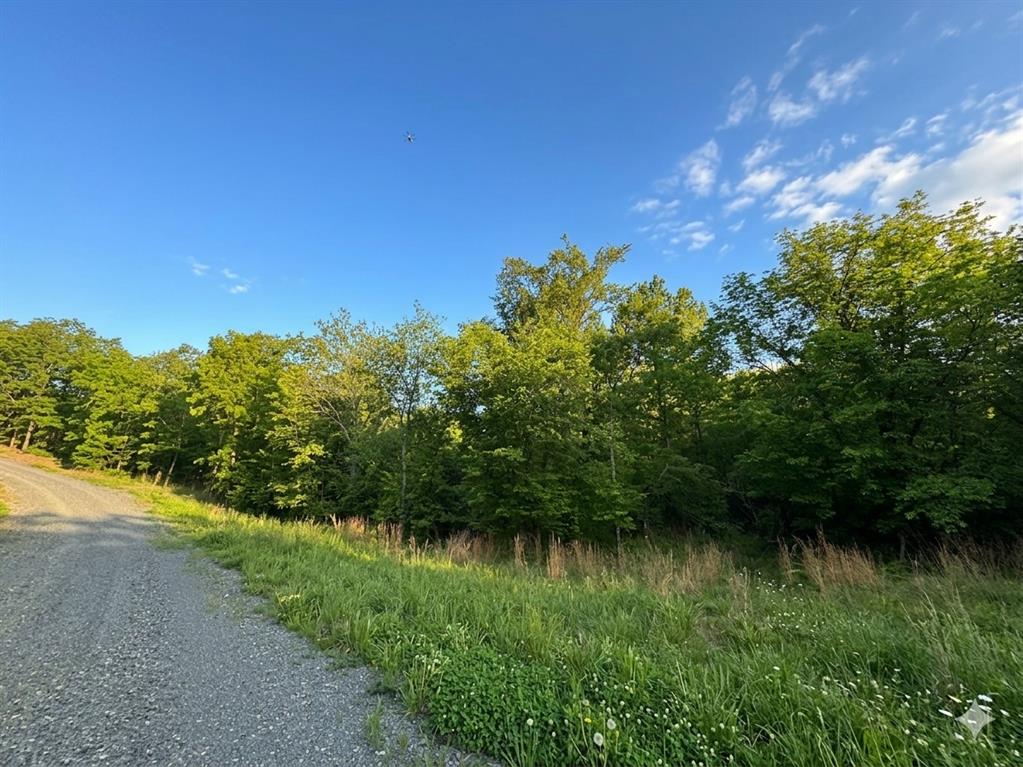 8 Vista Ridge Trail