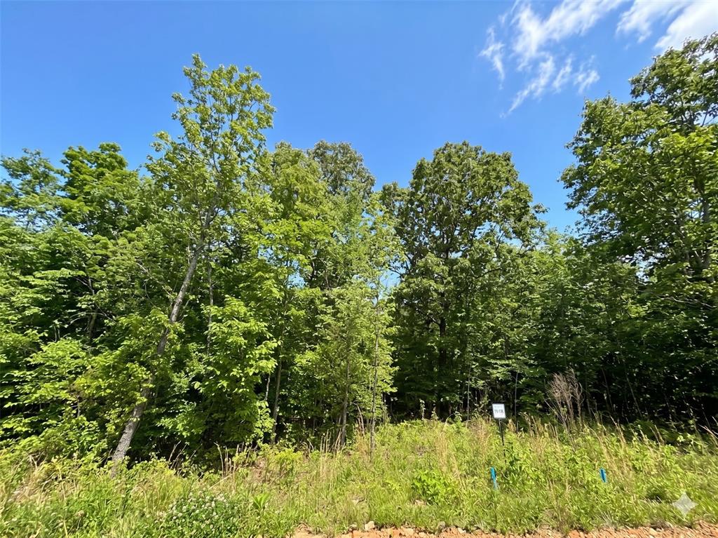 18 Vista Ridge