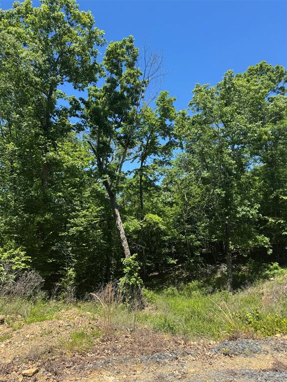 20 Vista Ridge Trail