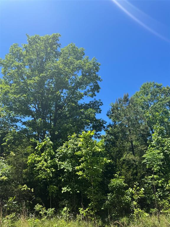 23 Vista Ridge Trail
