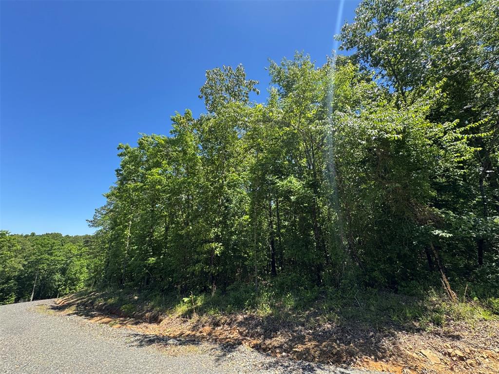 23 Vista Ridge Trail