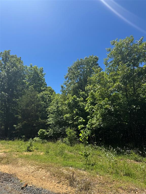 25 Vista Ridge Trail