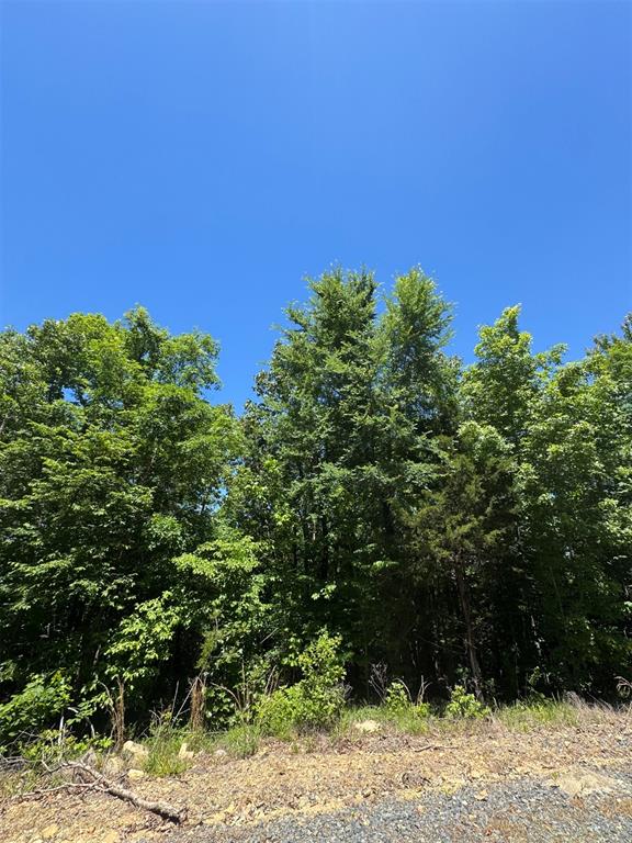 27 Mountain Bluff Trail