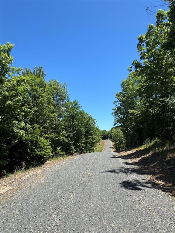 27 Mountain Bluff Trail