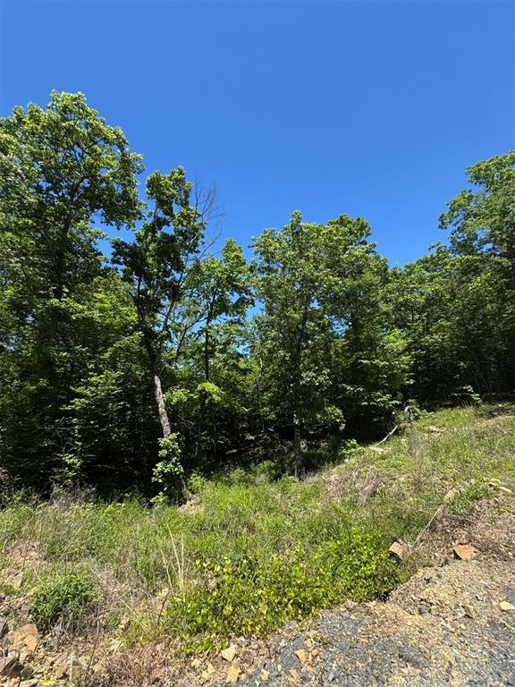 27 Mountain Bluff Trail