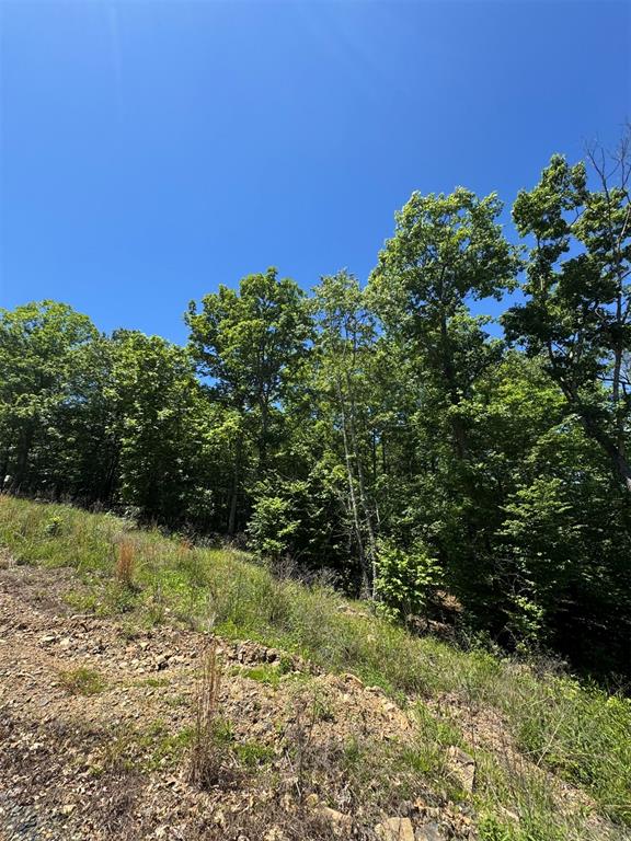 27 Mountain Bluff Trail