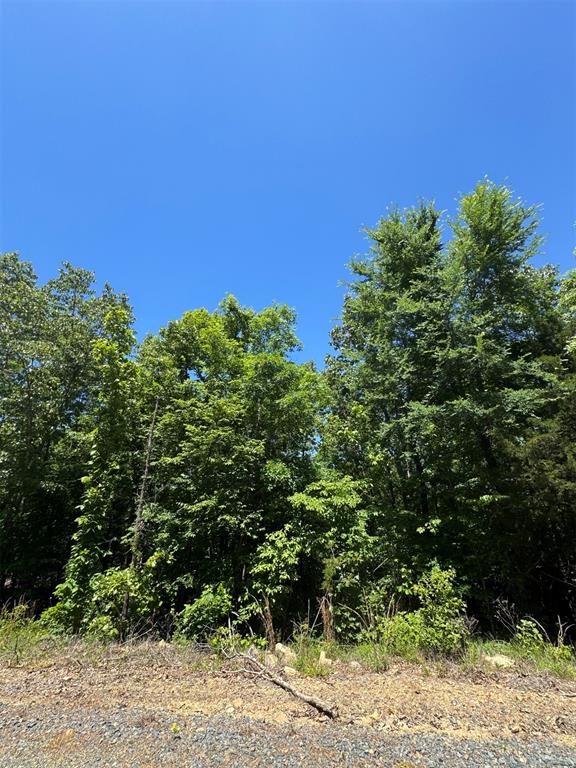 27 Mountain Bluff Trail