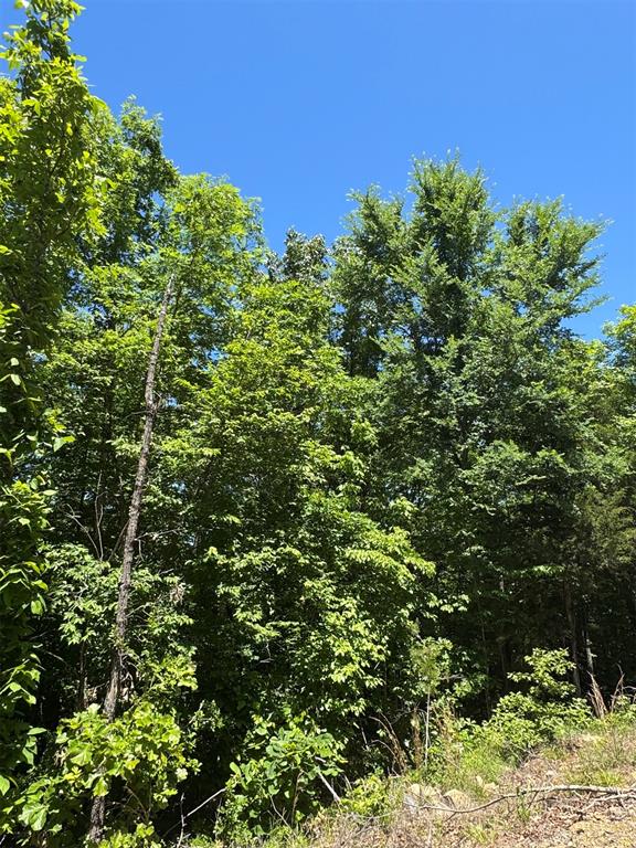 27 Mountain Bluff Trail