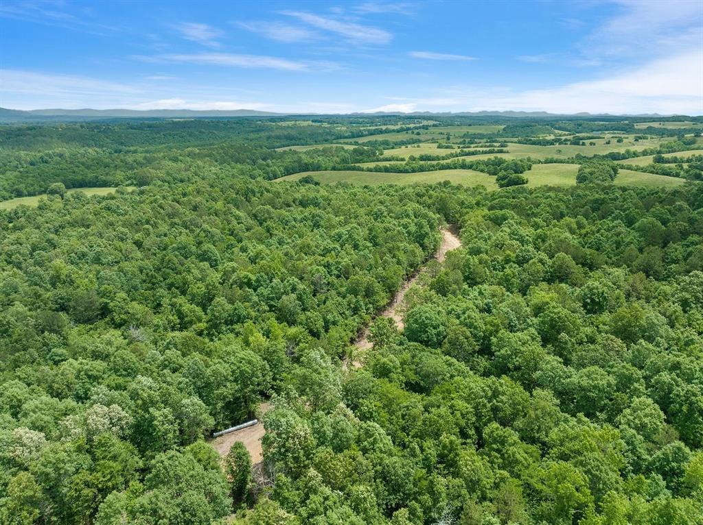 27 Mountain Bluff Trail