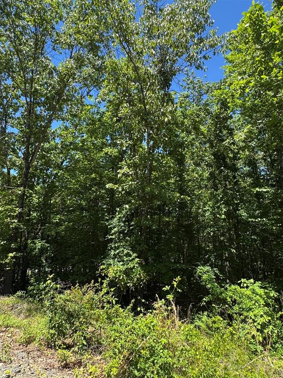 27 Mountain Bluff Trail