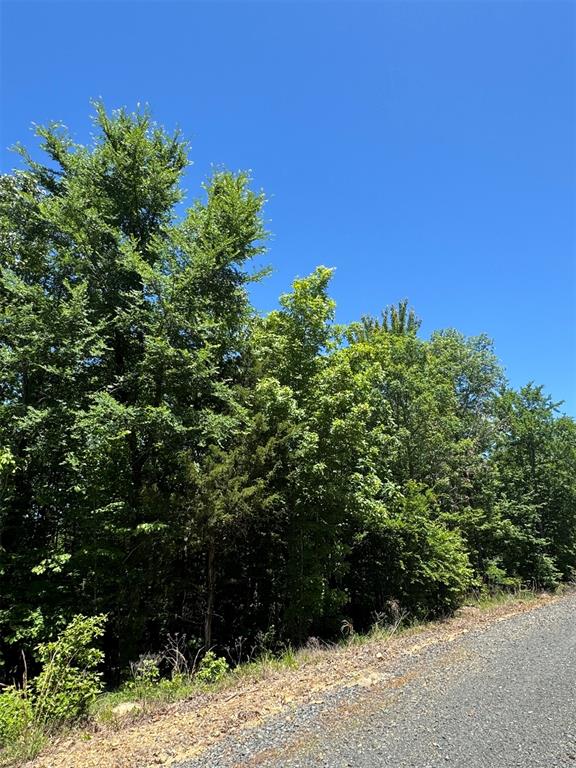 27 Mountain Bluff Trail