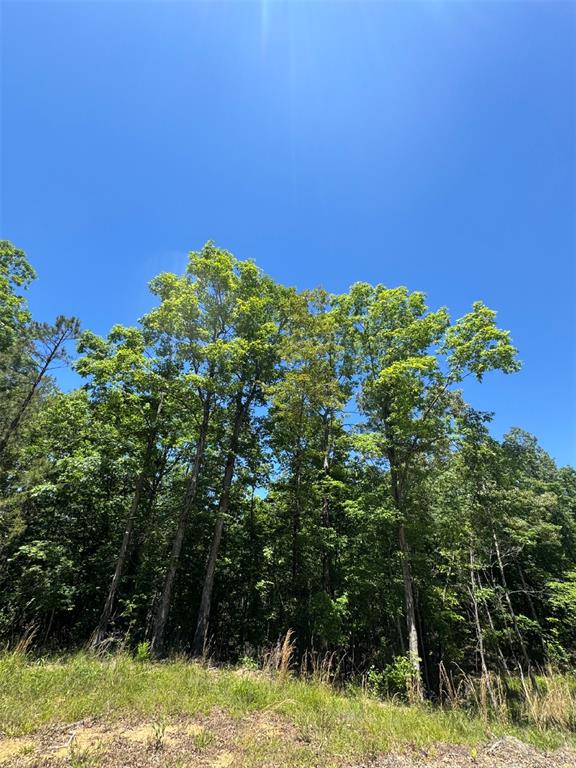38 Mountain Bluff Trail