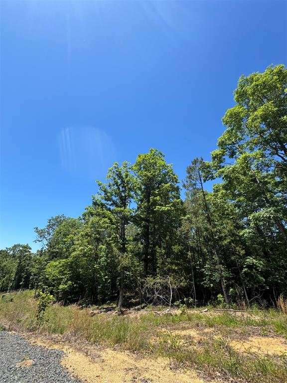 38 Mountain Bluff Trail