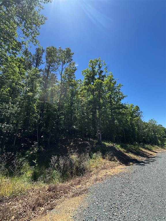 38 Mountain Bluff Trail