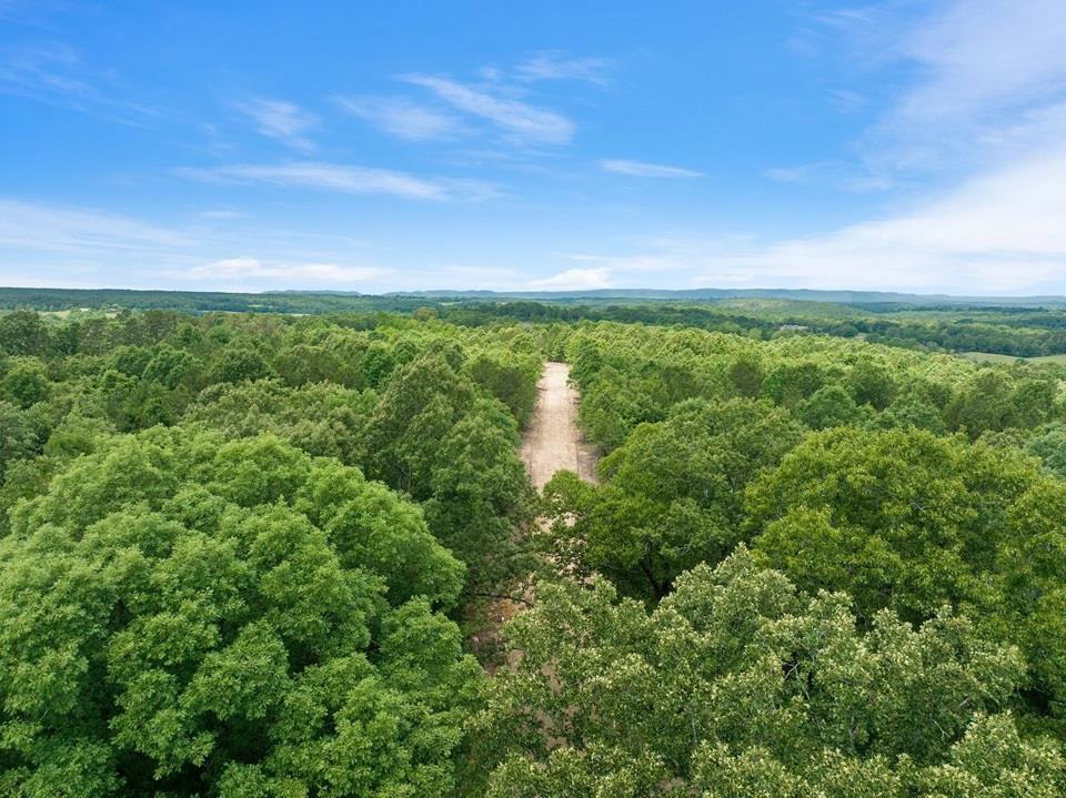 38 Mountain Bluff Trail