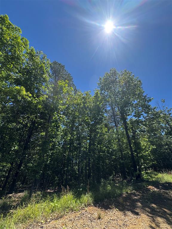 38 Mountain Bluff Trail