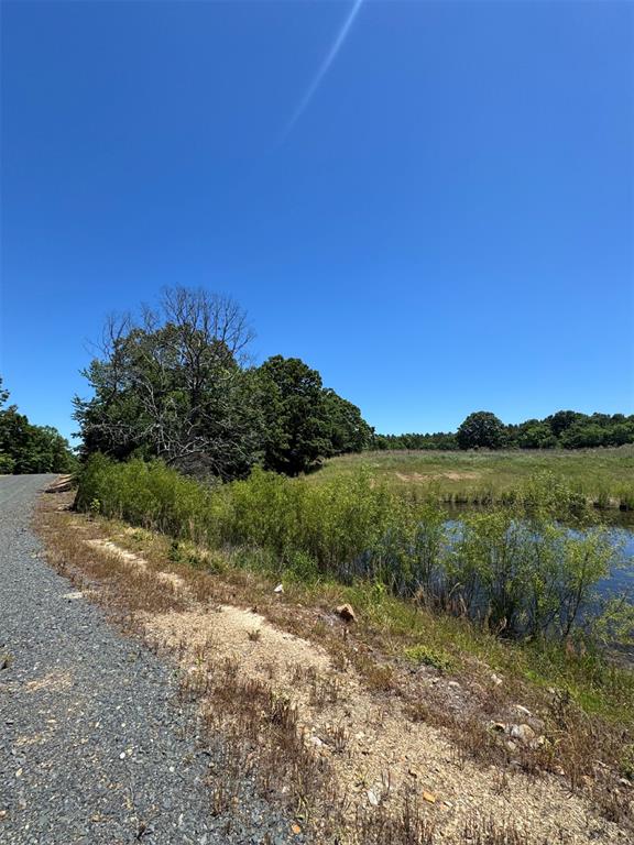 41 Mountain Bluff Trail