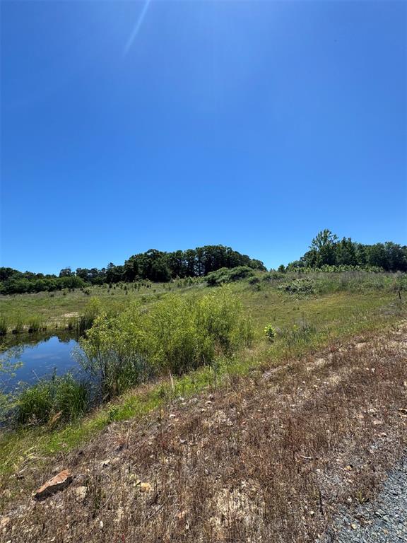 41 Mountain Bluff Trail