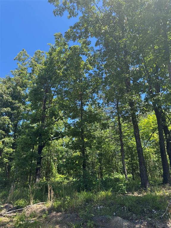 50 Vista Ridge Trail