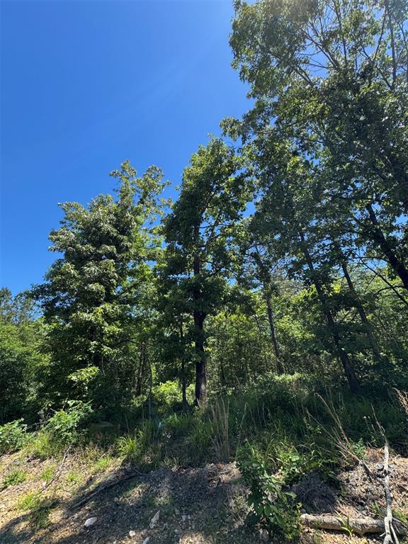 50 Vista Ridge Trail