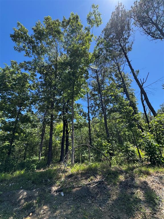 50 Vista Ridge Trail