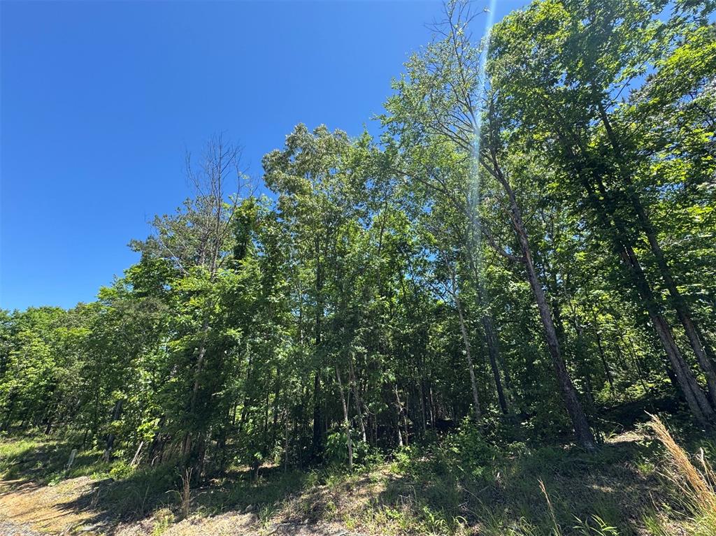 51 Vista Ridge Trail