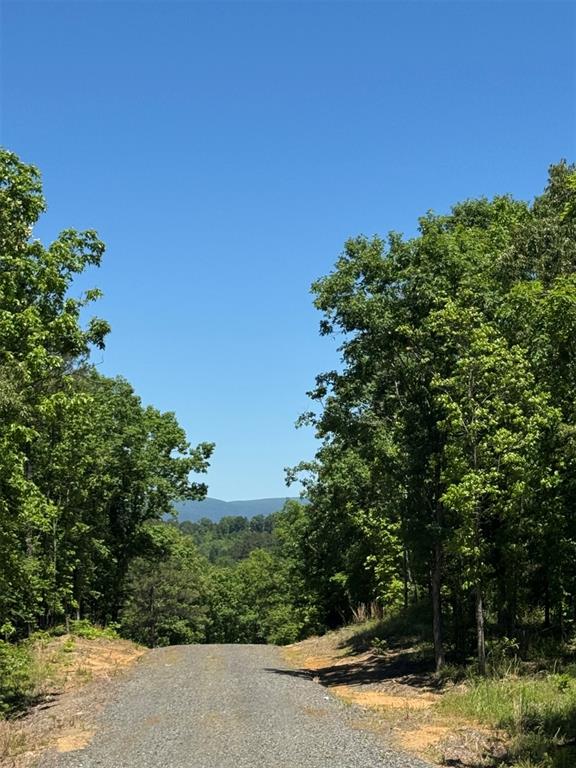 51 Vista Ridge Trail