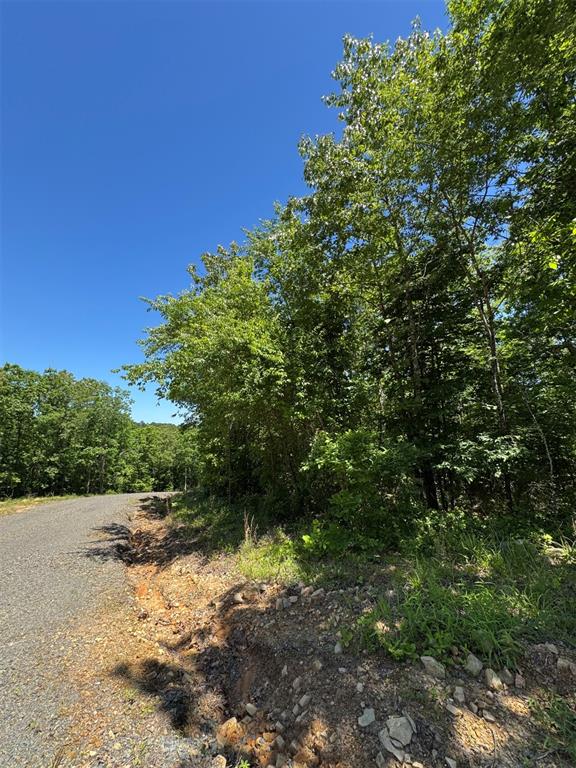53 Vista Ridge Trail