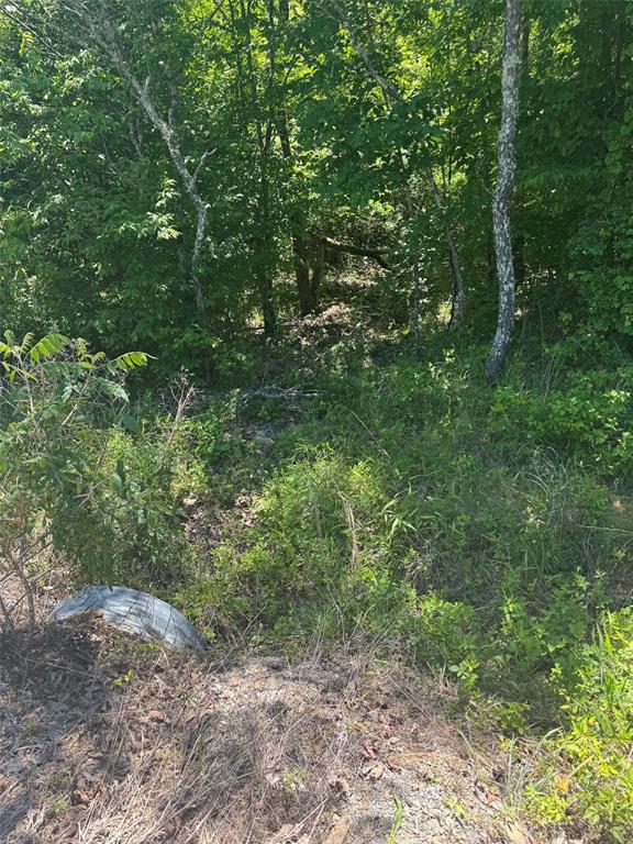 54 Vista Ridge Trail