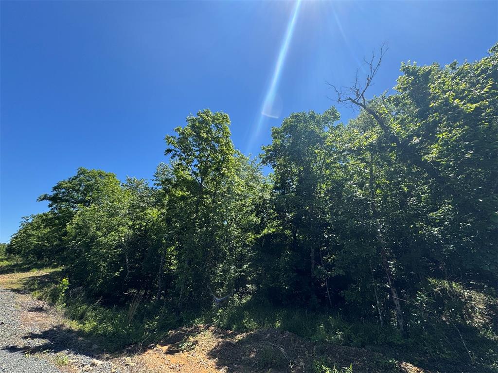 54 Vista Ridge Trail