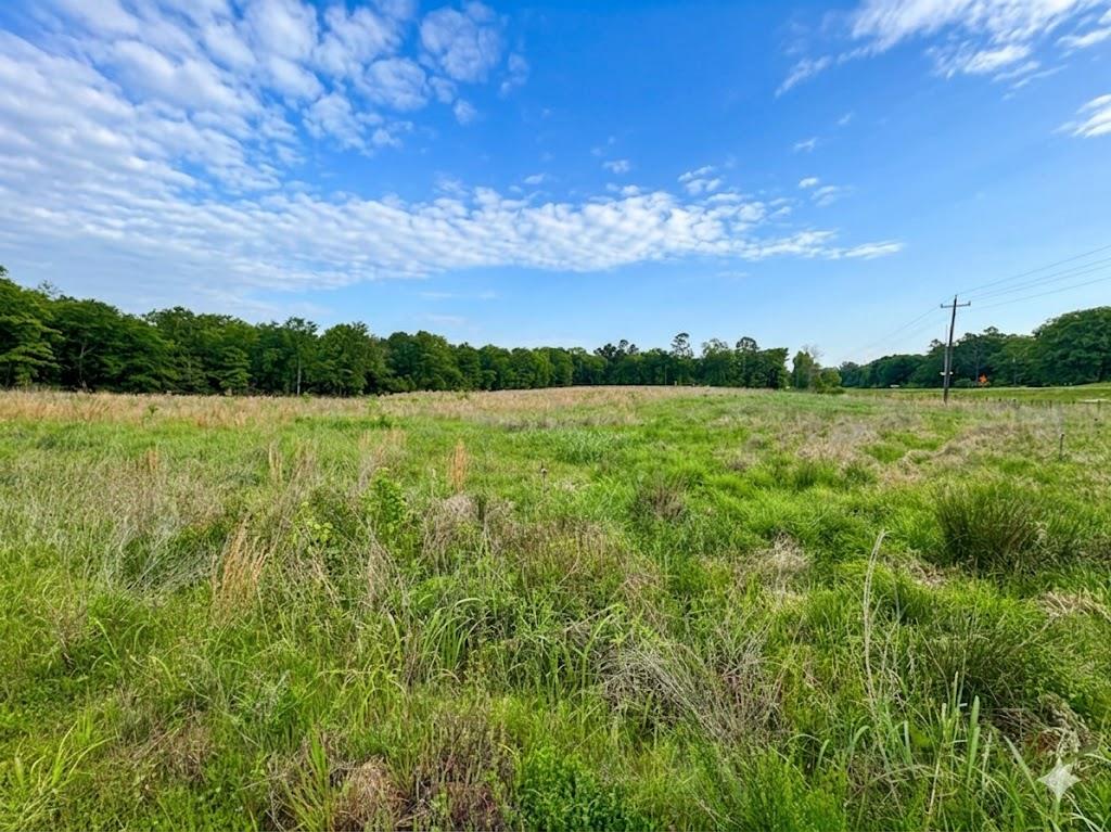 N US-259 Frontage Highway
