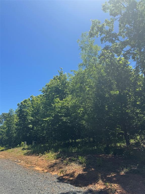 56 Vista Ridge Trail
