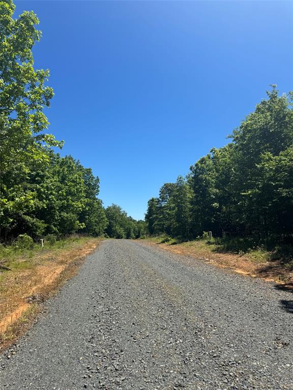 56 Vista Ridge Trail