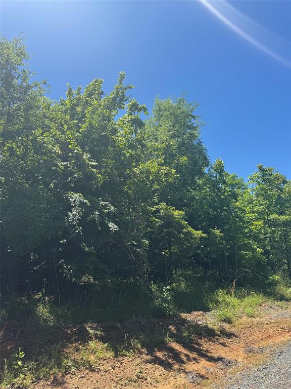56 Vista Ridge Trail
