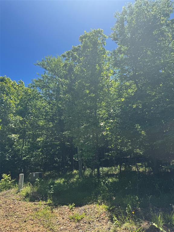 56 Vista Ridge Trail