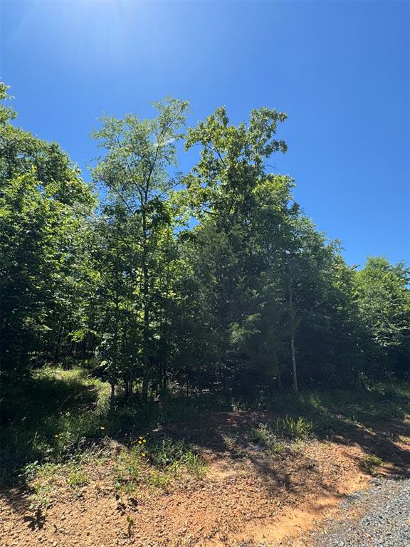 56 Vista Ridge Trail