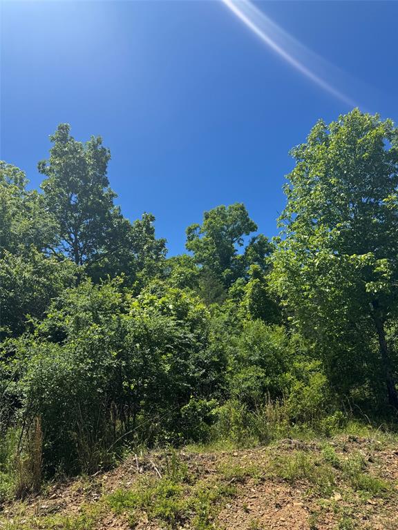 57 Vista Ridge Trail
