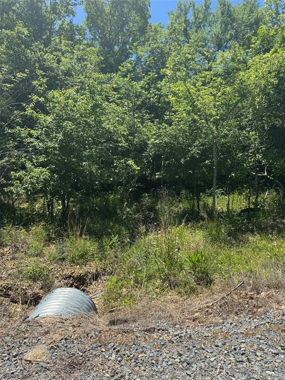 57 Vista Ridge Trail