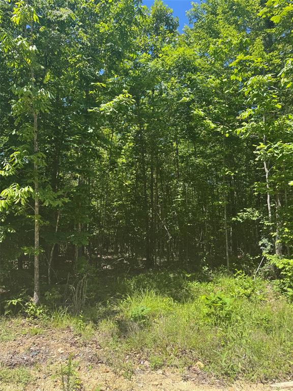 58 Vista Ridge Trail