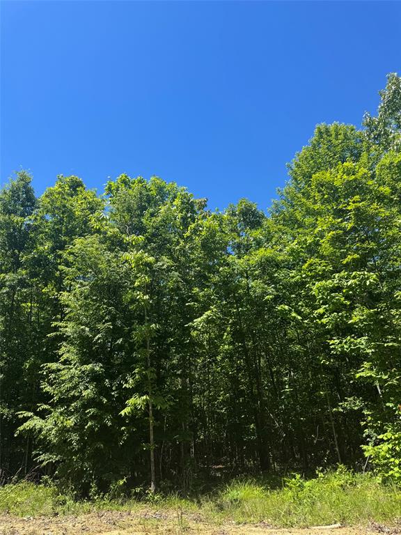 58 Vista Ridge Trail