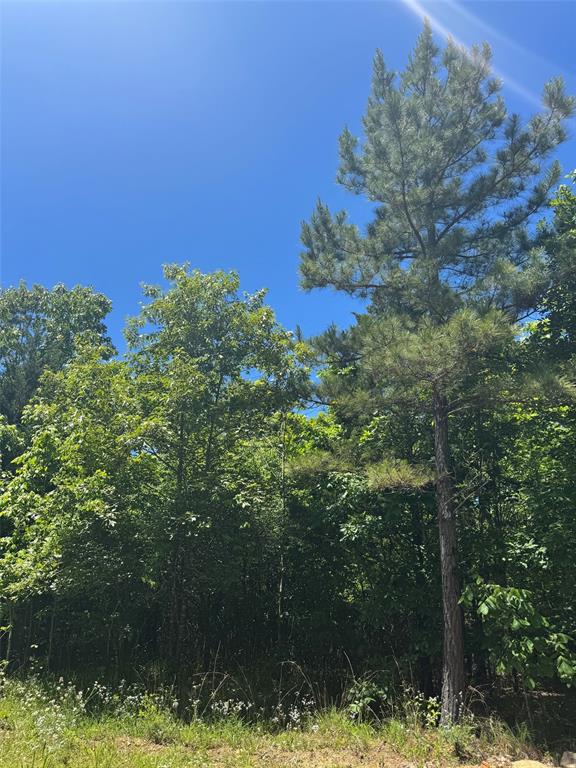 59 Vista Ridge Trail