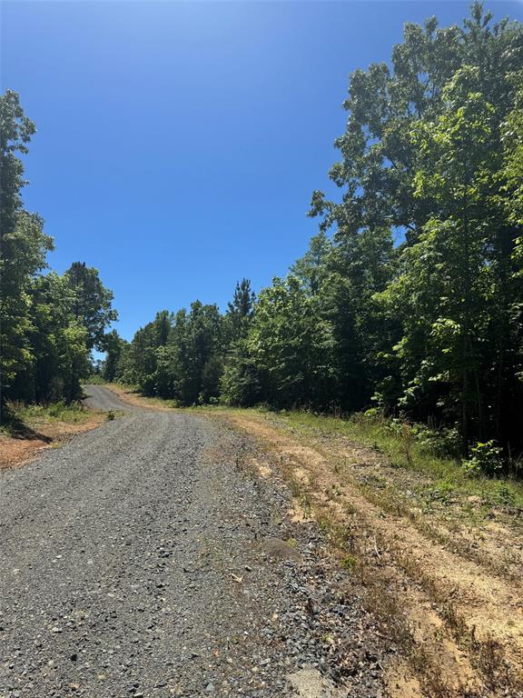 59 Vista Ridge Trail